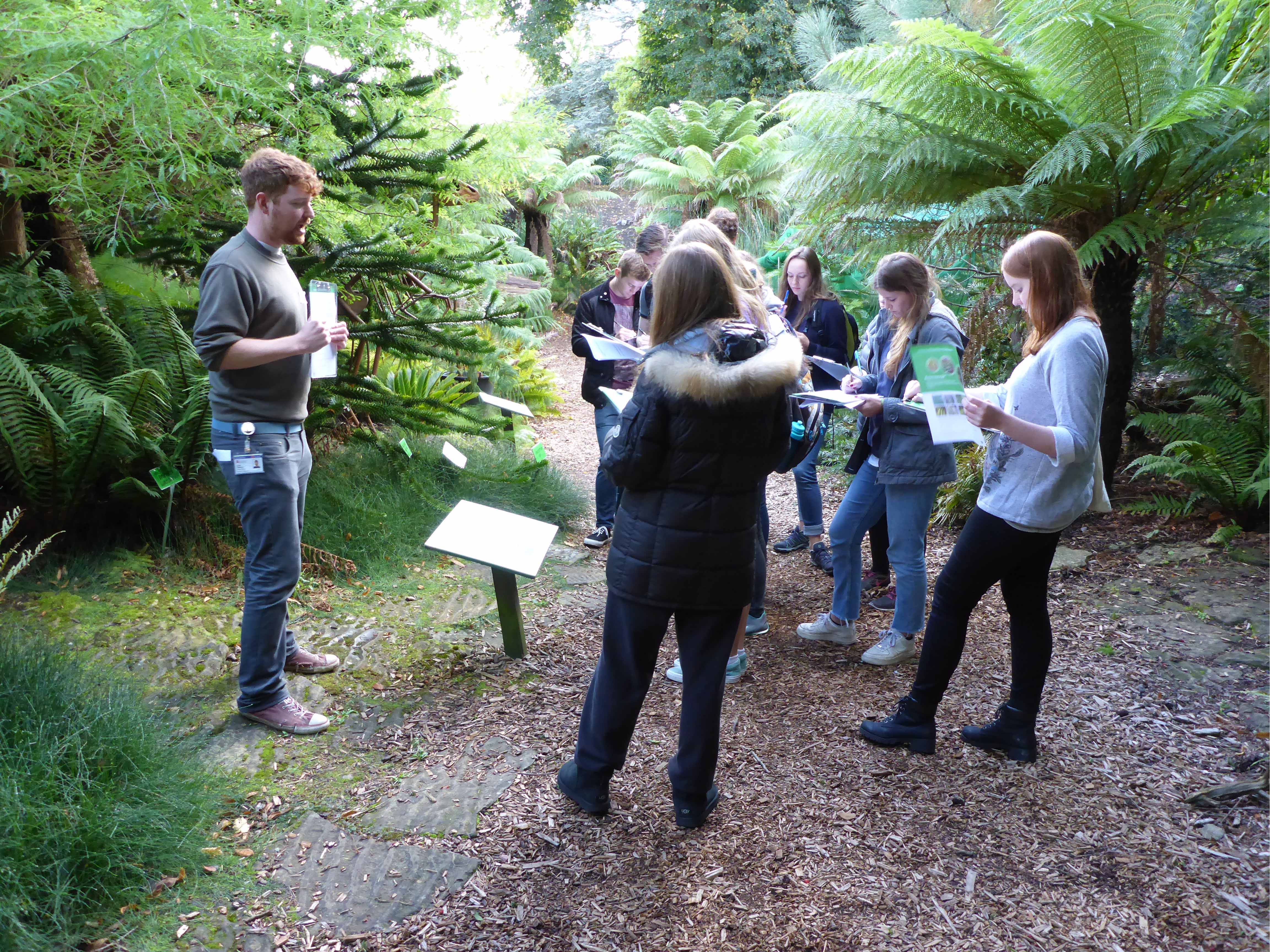 A group of students stand amongst ferns